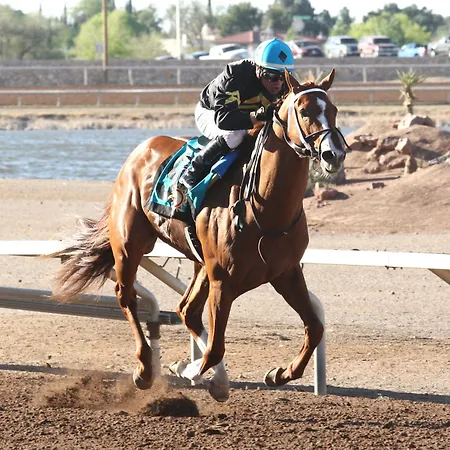 The Hotel At Sunland Park Casino El Paso, An Ascend Collection Hotel-2